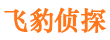 江口外遇出轨调查取证